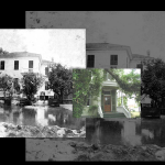 1900_history