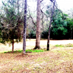 Pastoral I