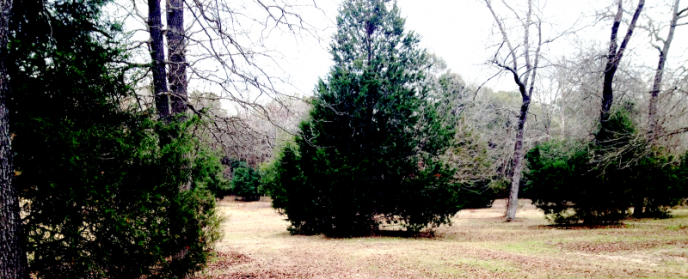 Pastoral II | Keeping the Green