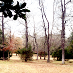 Pastoral III