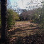 The Park II
