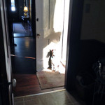 Roxy Door