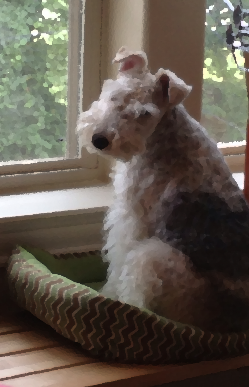 guarding