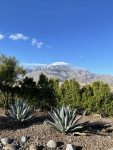 IMG_0977