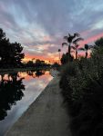 IMG_1052